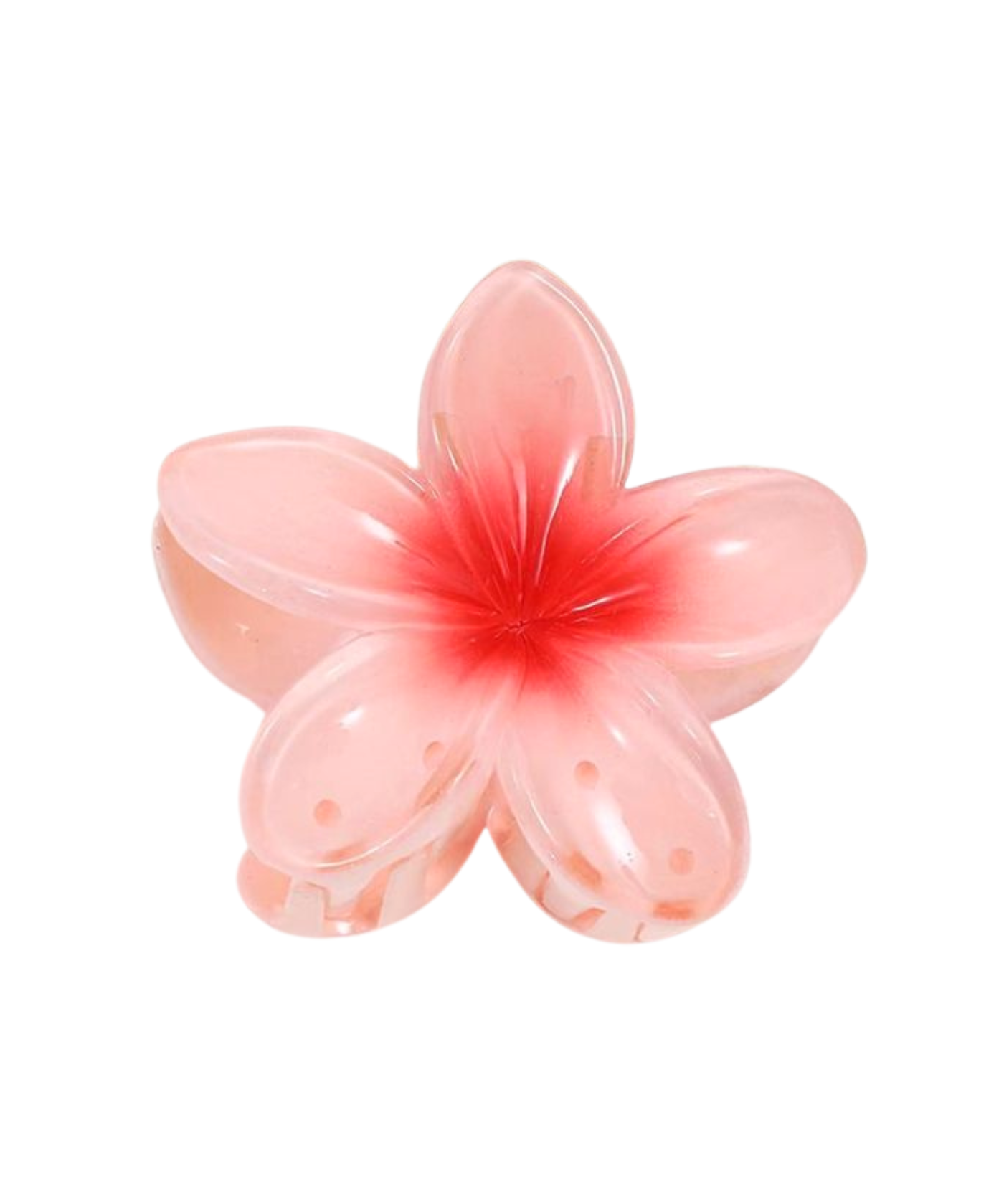 Hibiscus Hairclaw