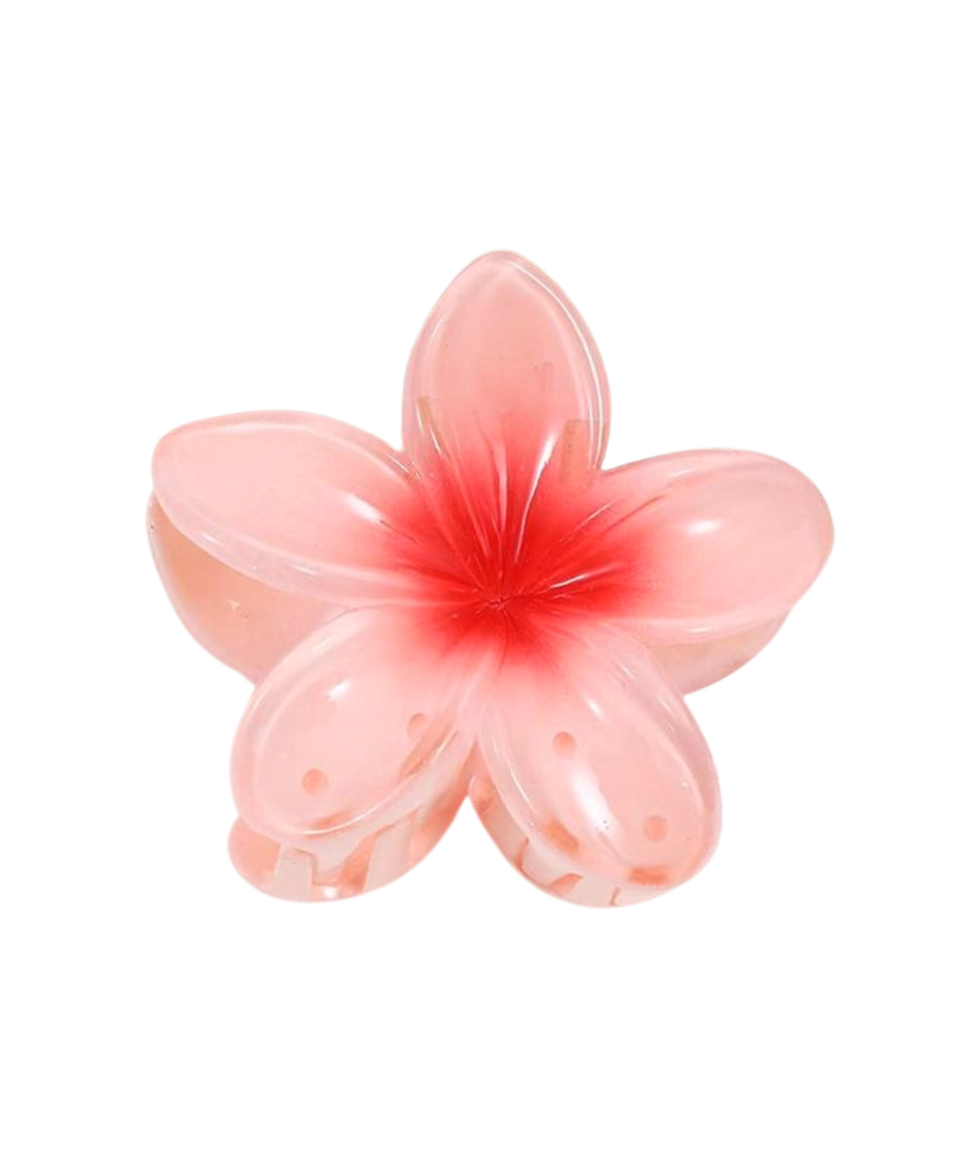 2_b864147b-ba0b-495a-92a3-493f001d44ac.png