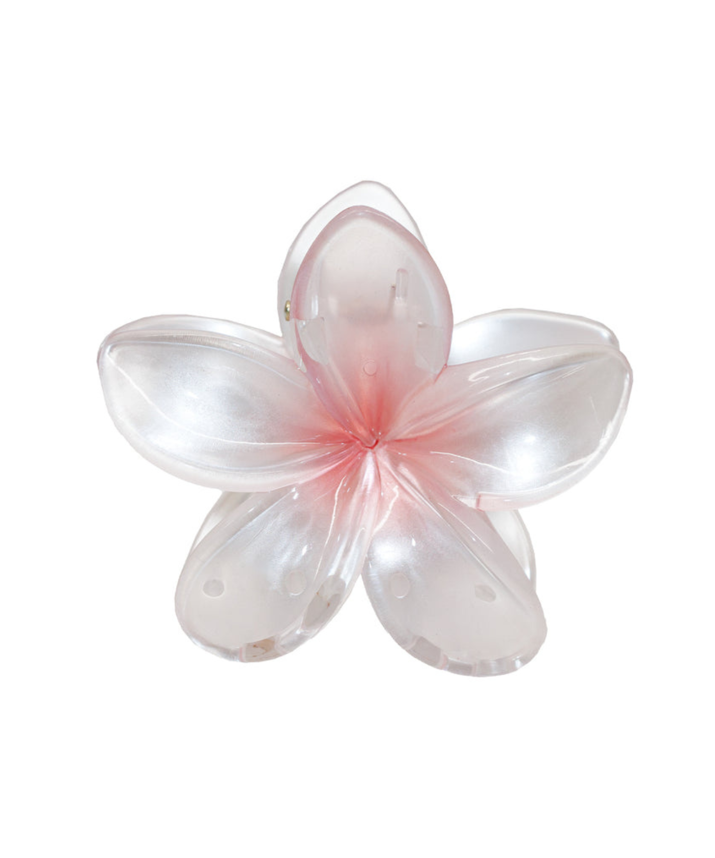 5_2bc744ff-6f5d-4cda-aa59-102942a5feae.png