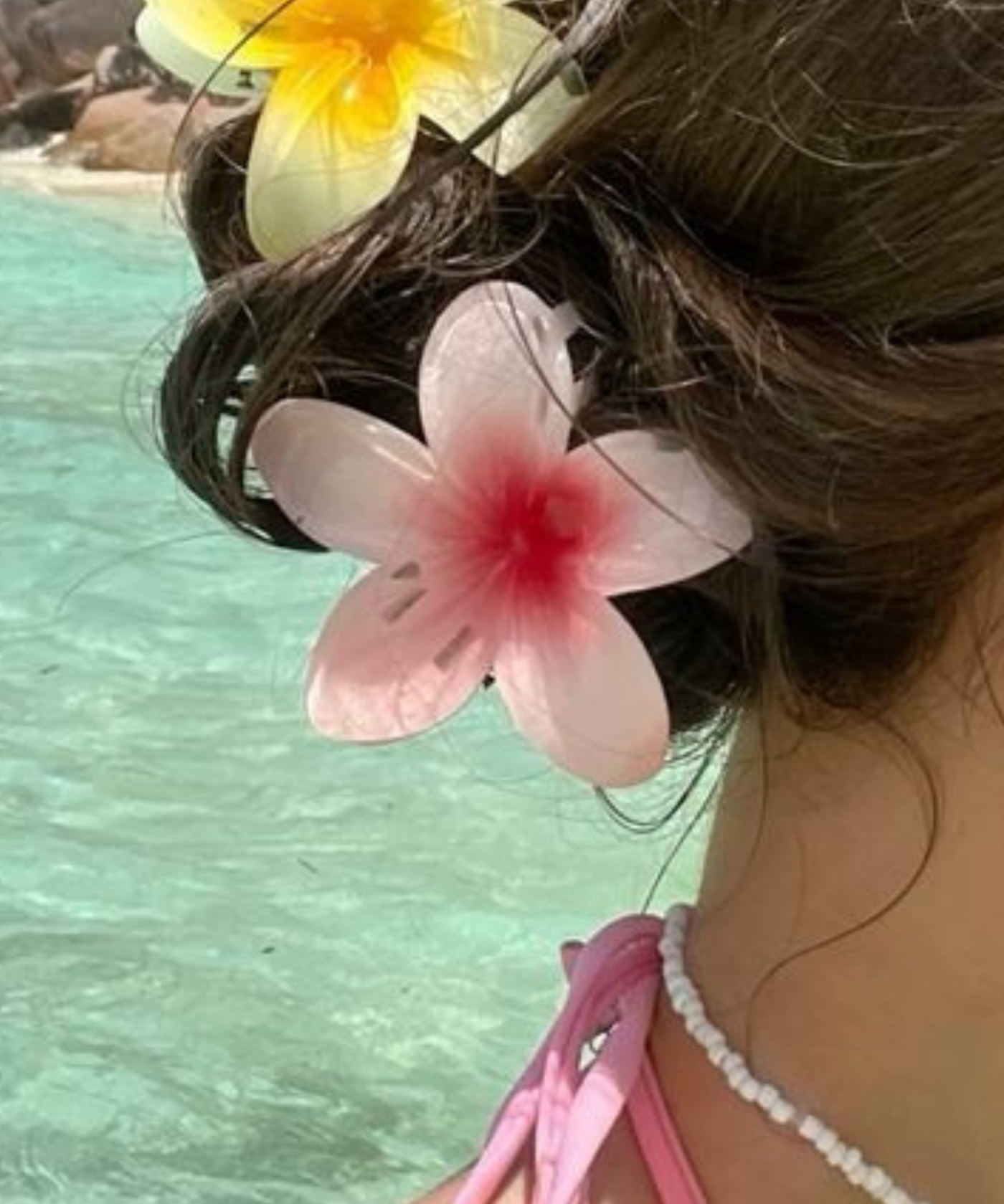 Hibiscus Hairclaw