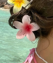 Hibiscus Hairclaw